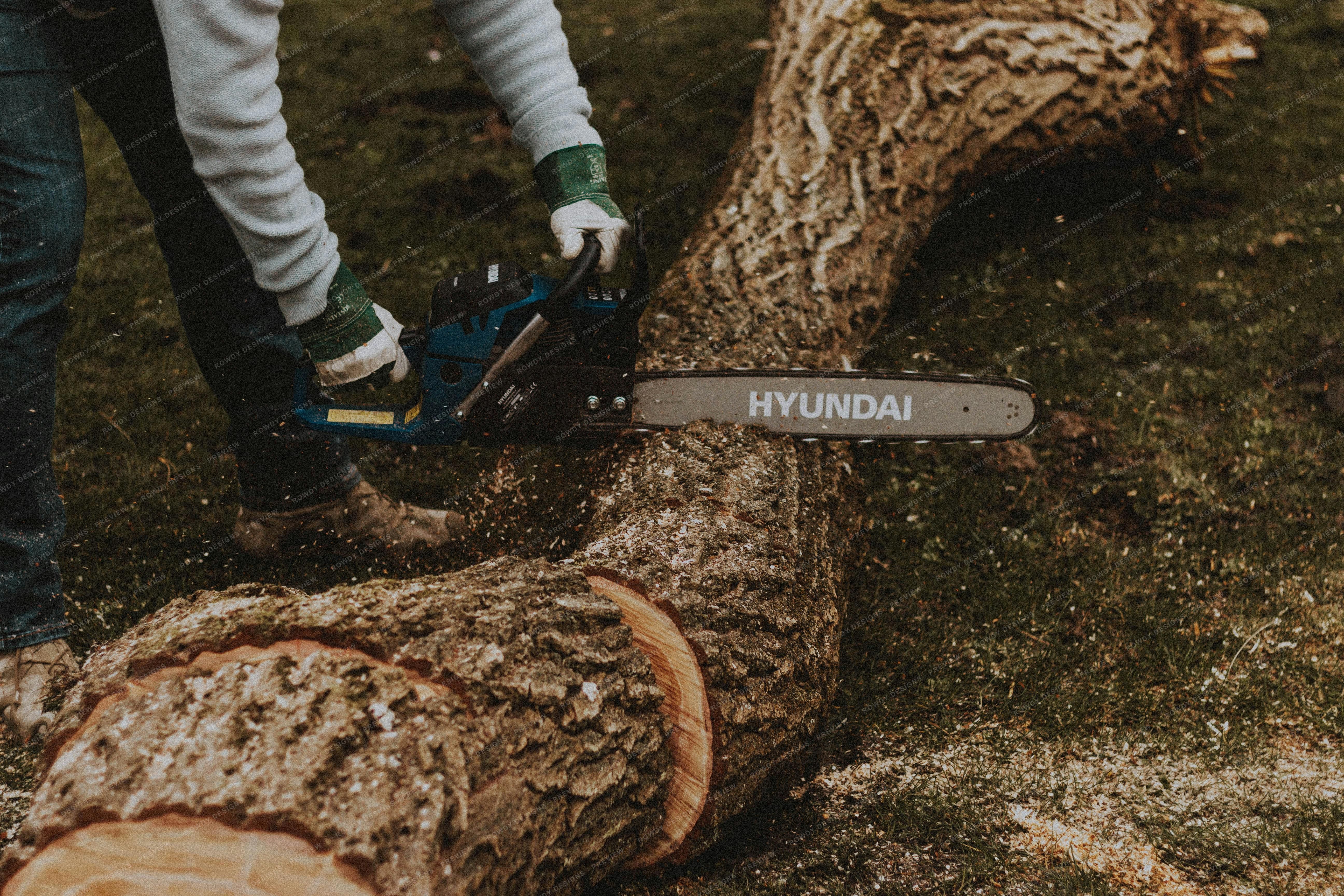 Tree removal