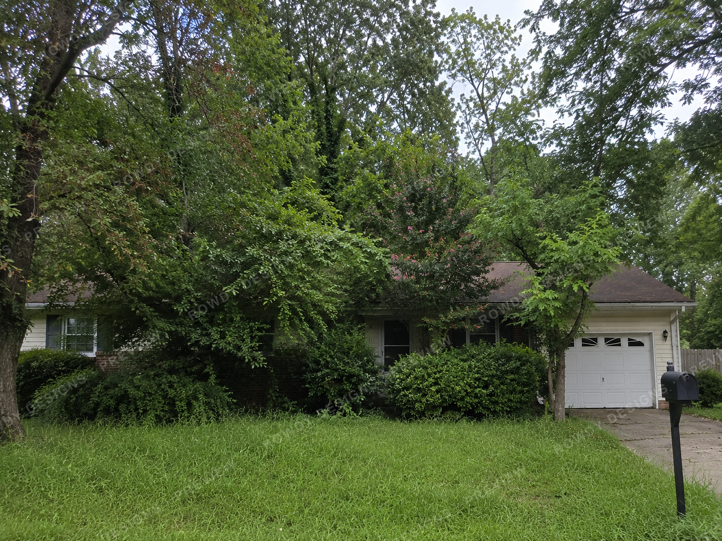 Overgrown pruning before